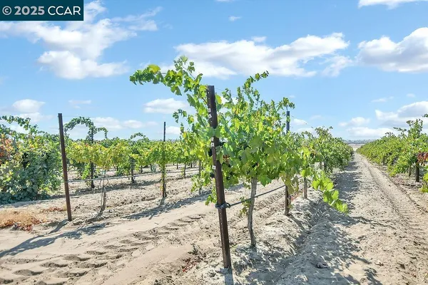 $650,000 | 0 Empire Avenue, Oakley, CA 94561