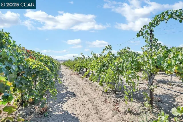 $675,000 | 0 Empire Avenue, Oakley, CA 94561