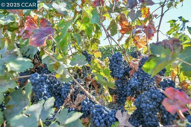 $675,000 | 0 Empire Avenue, Oakley, CA 94561