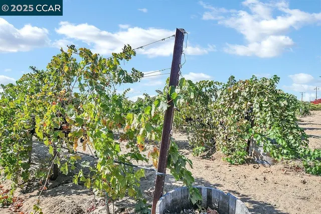 $675,000 | 0 Empire Avenue, Oakley, CA 94561