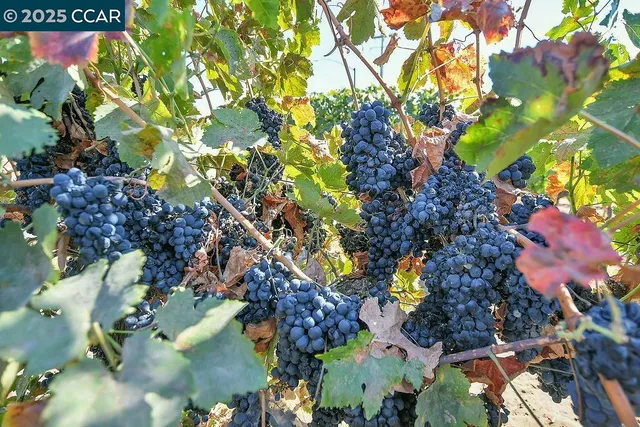 $675,000 | 0 Empire Avenue, Oakley, CA 94561