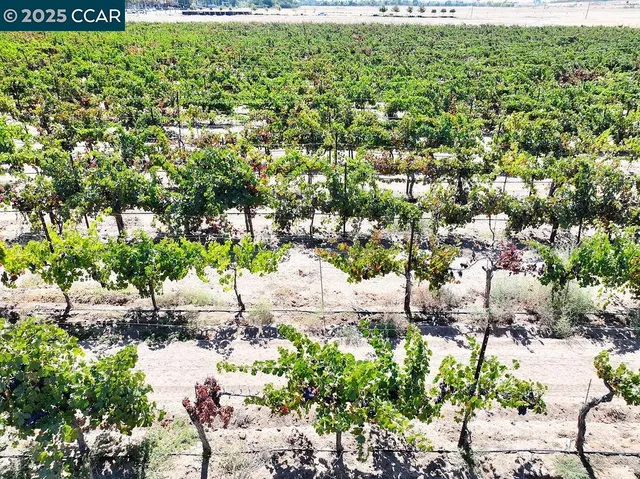 $675,000 | 0 Empire Avenue, Oakley, CA 94561