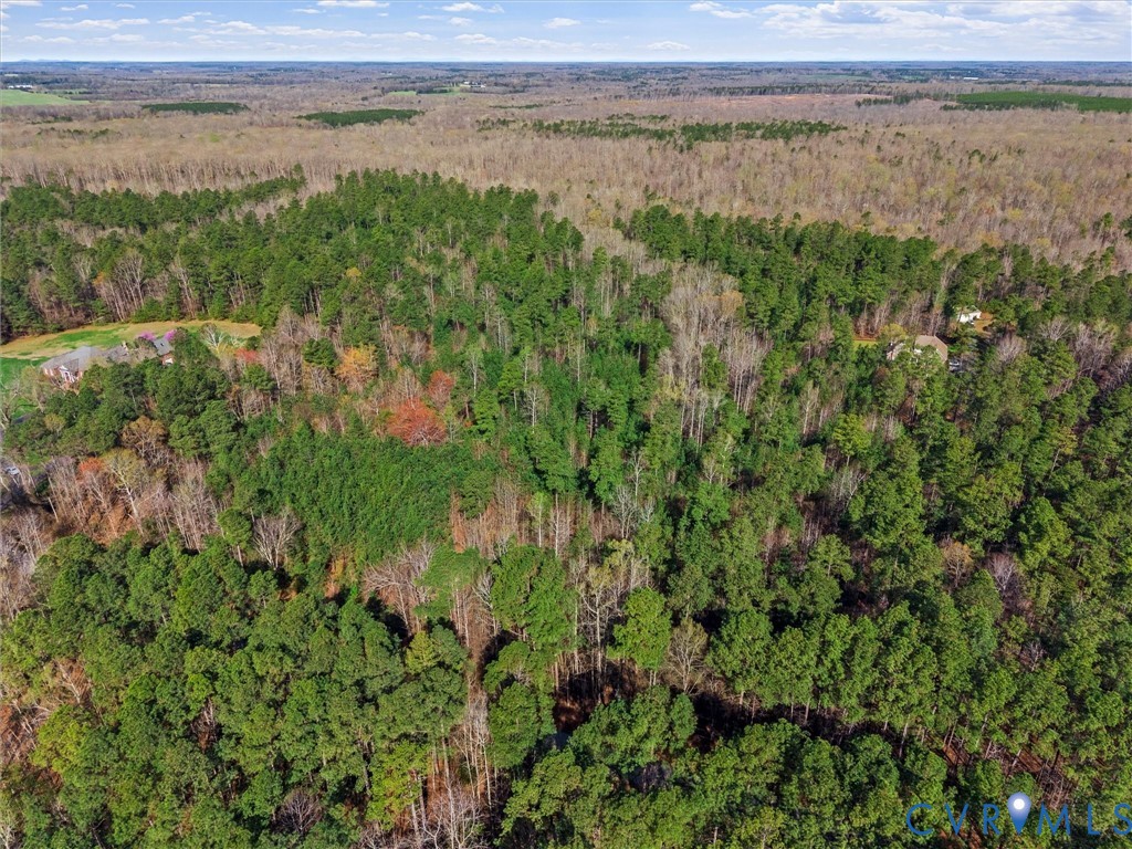 24120 Pear Orchard Road Moseley, VA 23120 - Photo 2 of 2 a view of a lake with a yard