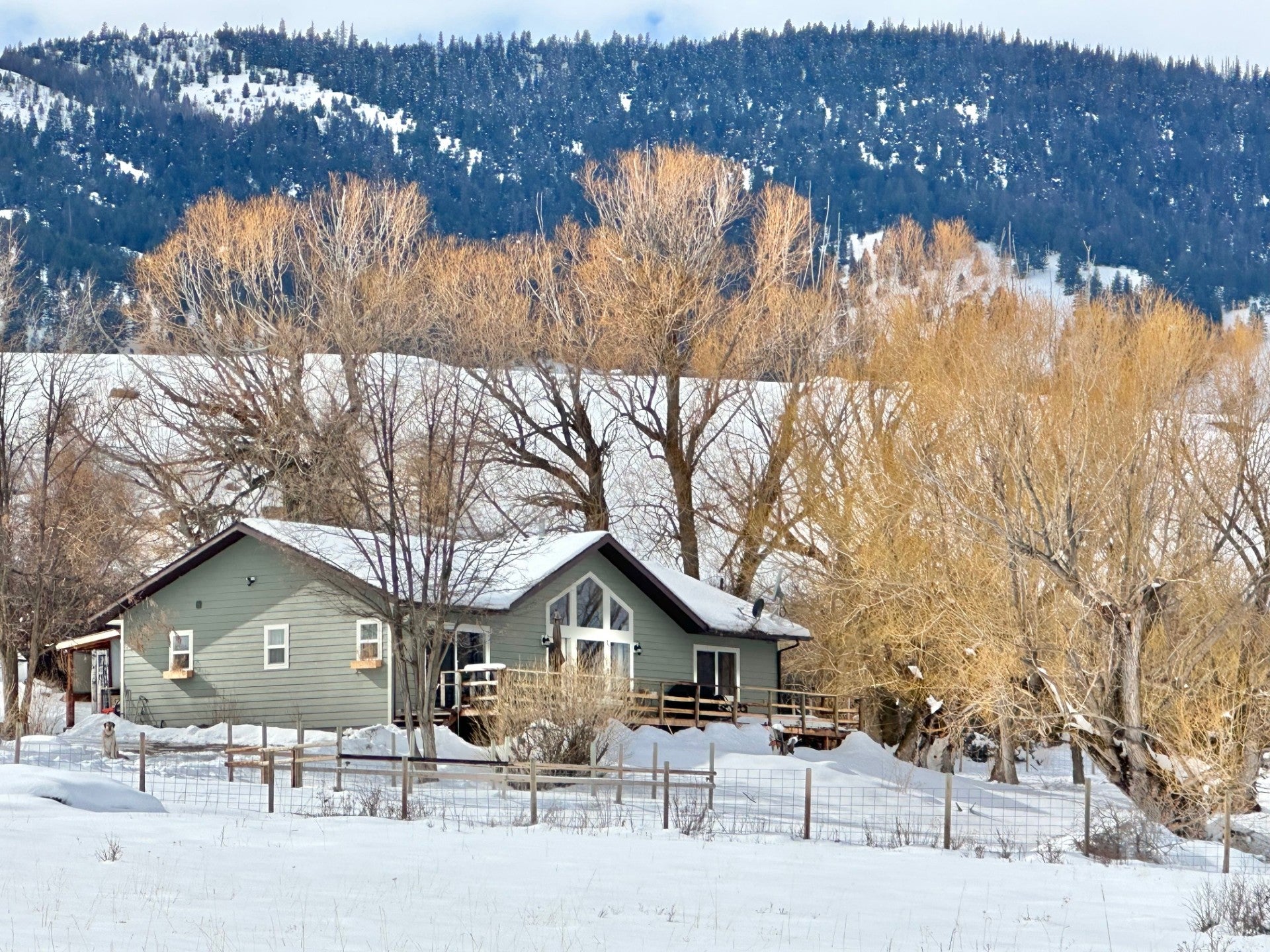 250 Melton Road Hot Springs, MT 59845 - Photo 1 of 1 Gallery Image 1