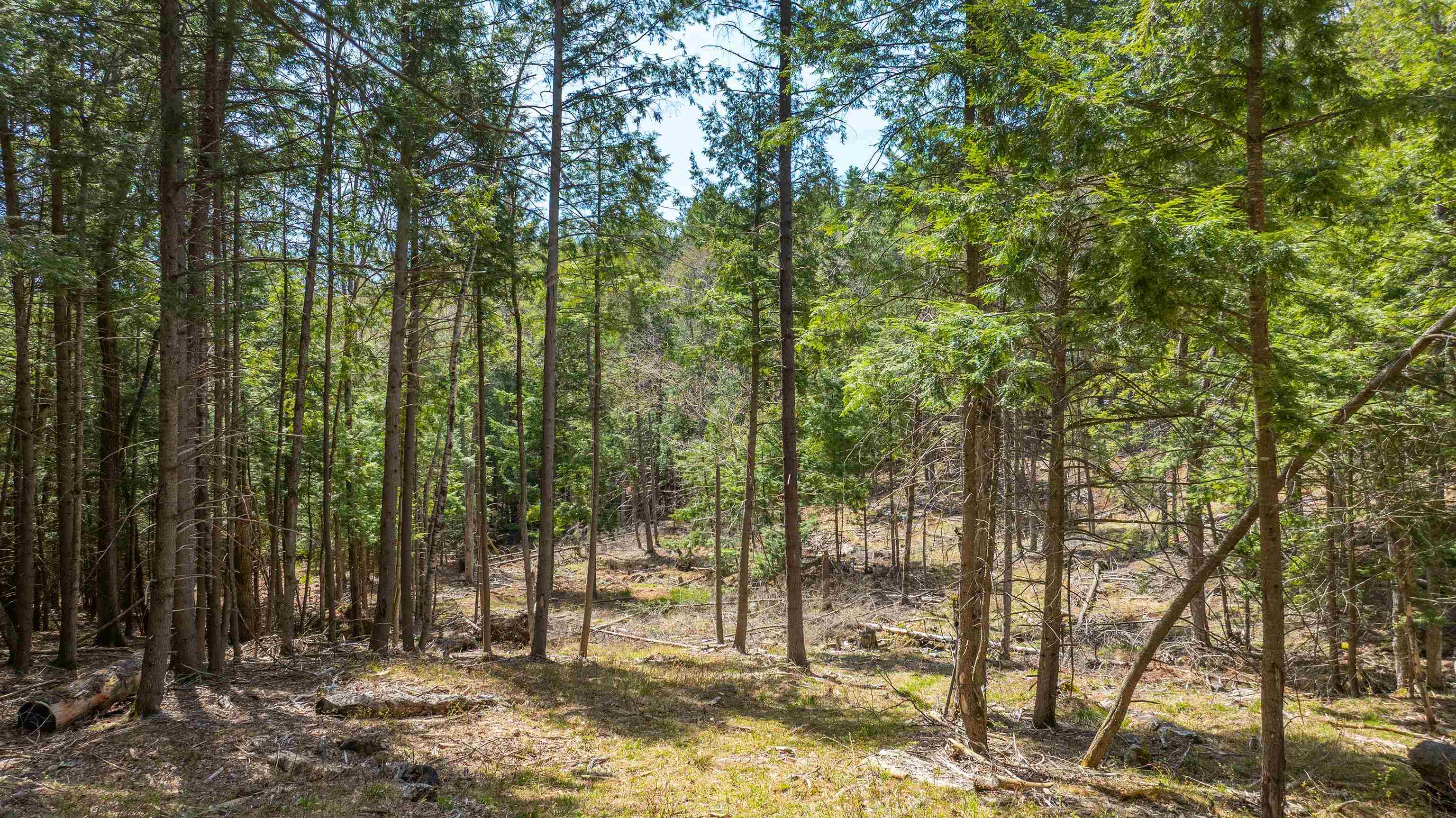 0 Fay Lane, Unit 7226 AND 7227 Quechee, VT 05059 - Photo 5 of 21