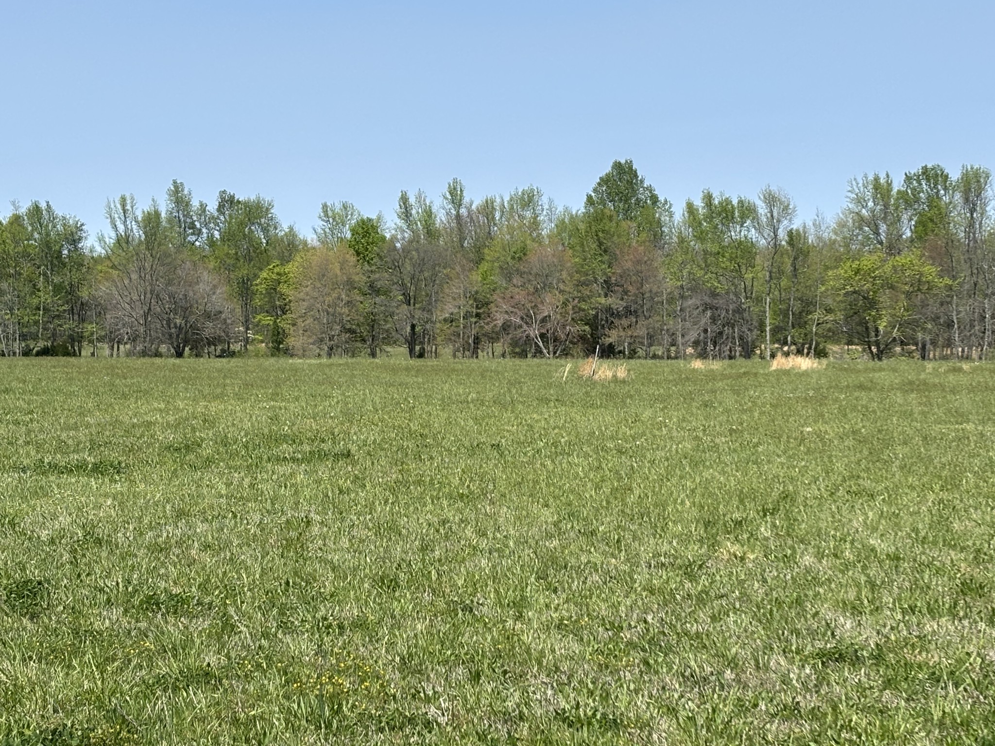 0 Hollow Springs Road Bradyville, TN 37026 - Photo 2 of 6