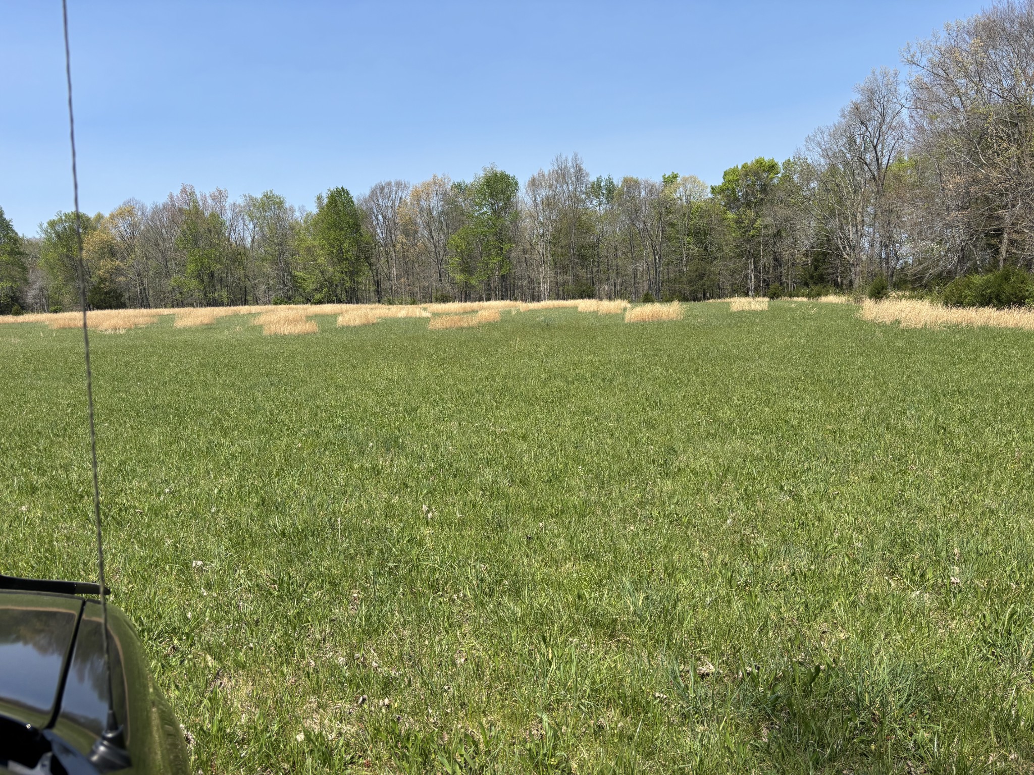 0 Hollow Springs Road Bradyville, TN 37026 - Photo 3 of 6