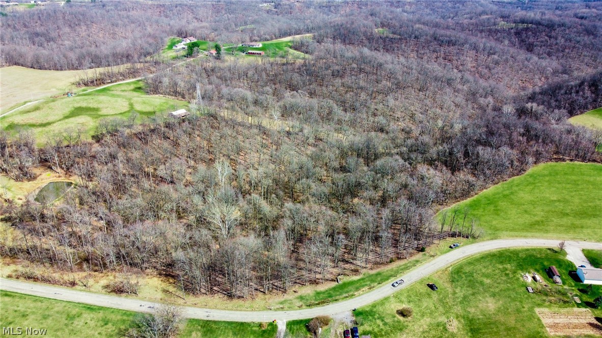17805 Early Cemetary Road Kimbolton, OH 43749 - Photo 1 of 30 Bird's eye view of a heavily wooded area