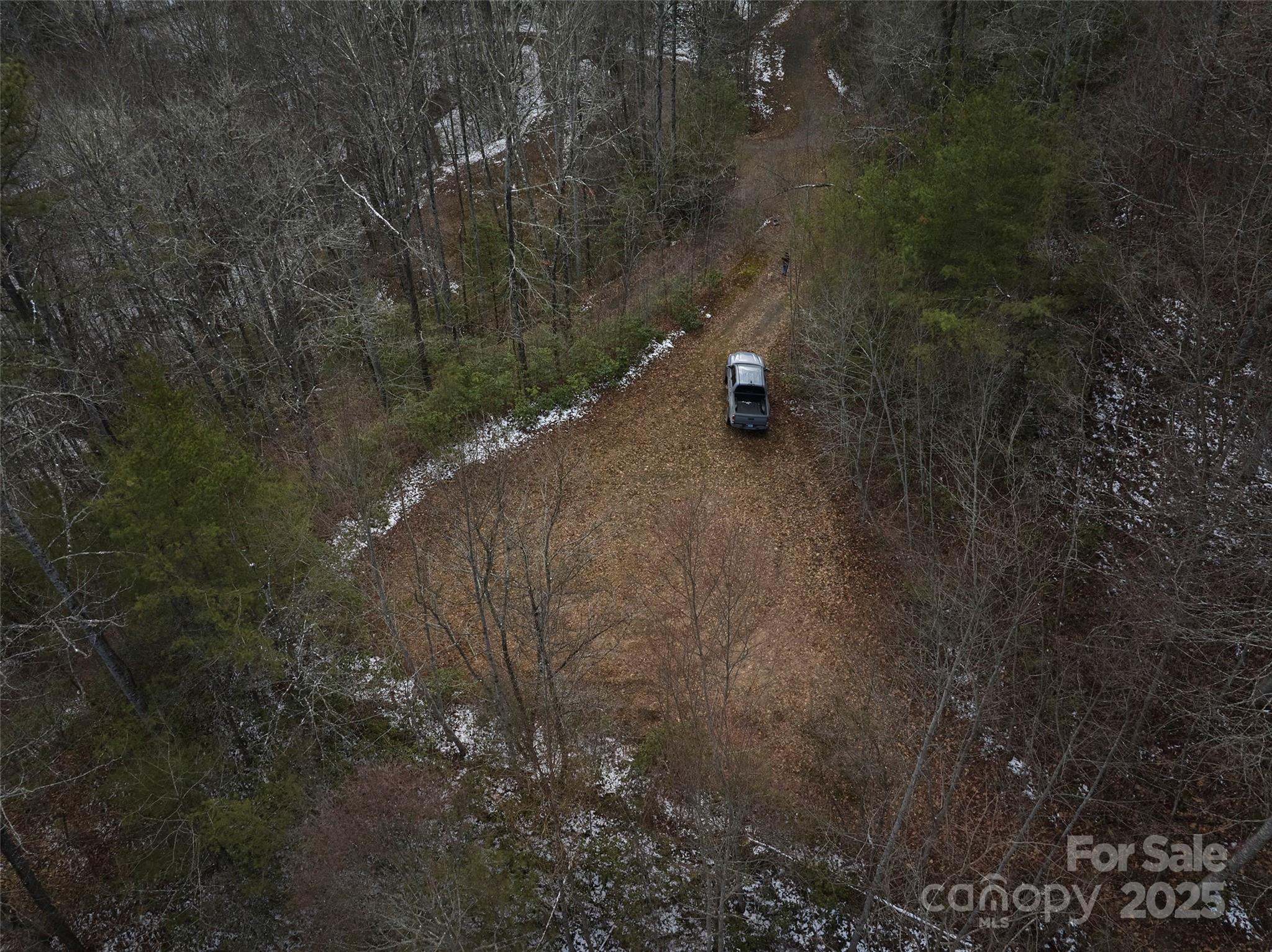 0 Jenkins Branch Road Bryson City, NC 28713 - Photo 2 of 9 a view of outdoor space and yard