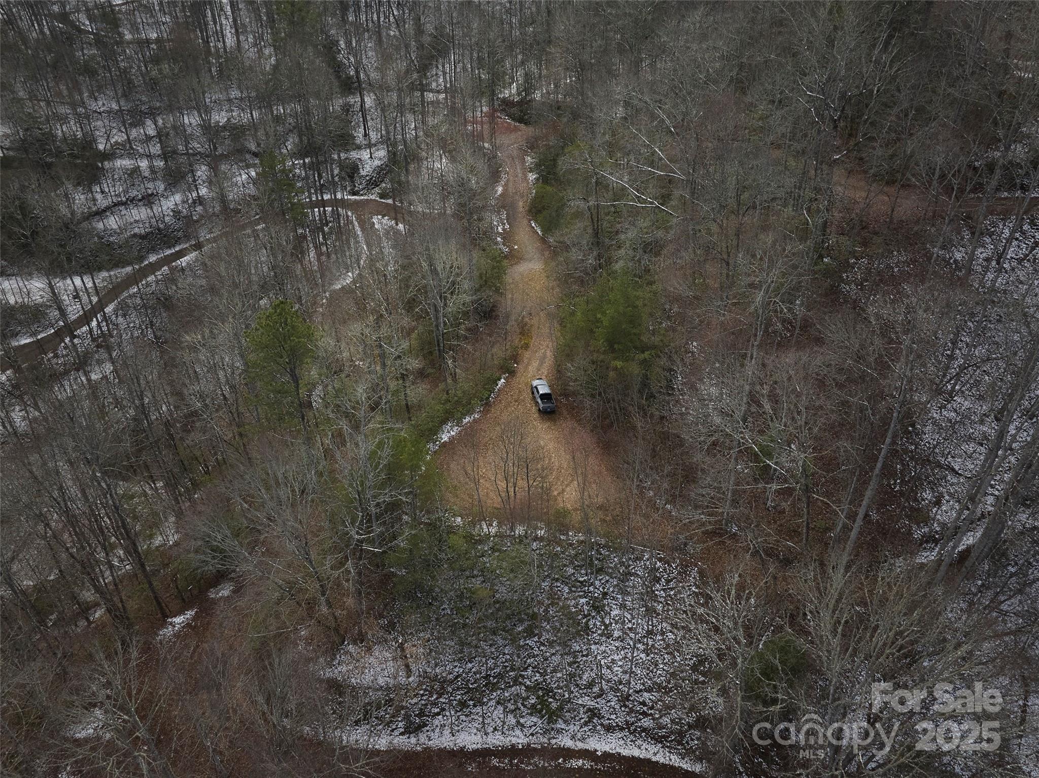 0 Jenkins Branch Road Bryson City, NC 28713 - Photo 3 of 9 a view of a forest with a yard of the house