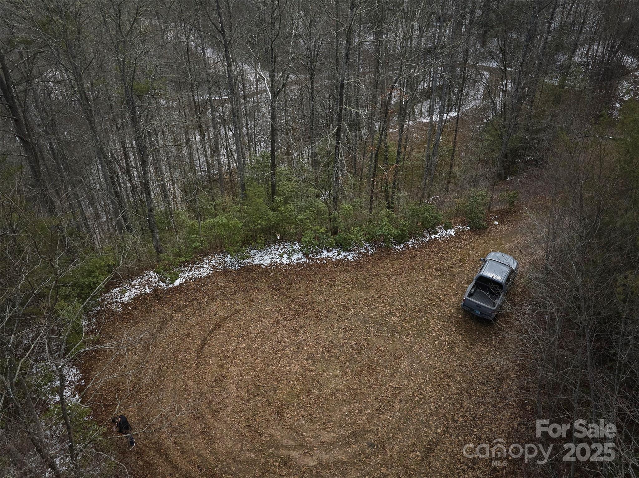 0 Jenkins Branch Road Bryson City, NC 28713 - Photo 7 of 9 a backyard of a house with lots of green space and trees