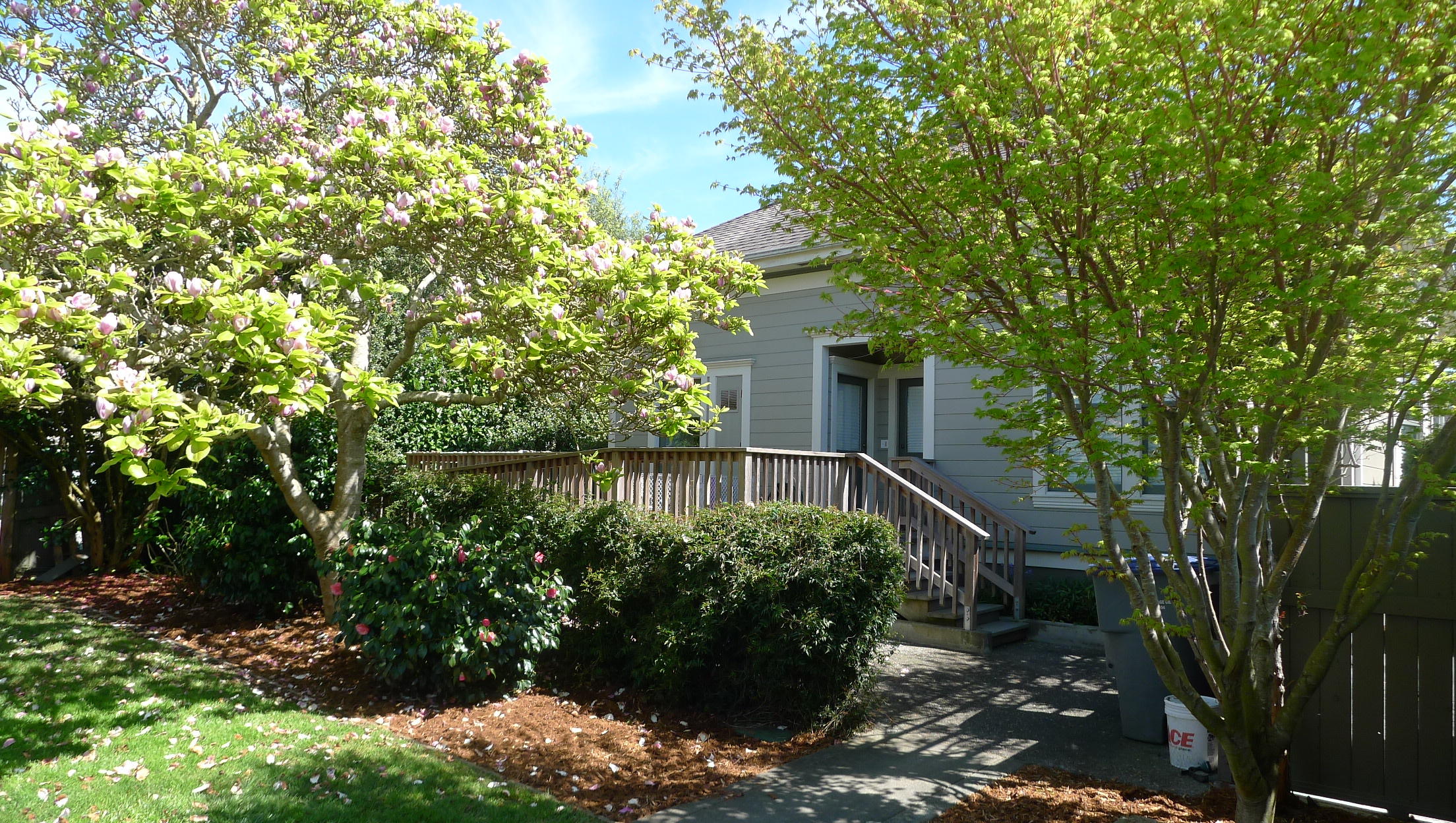 619 G Street Arcata, CA 95521 - Photo 7 of 15