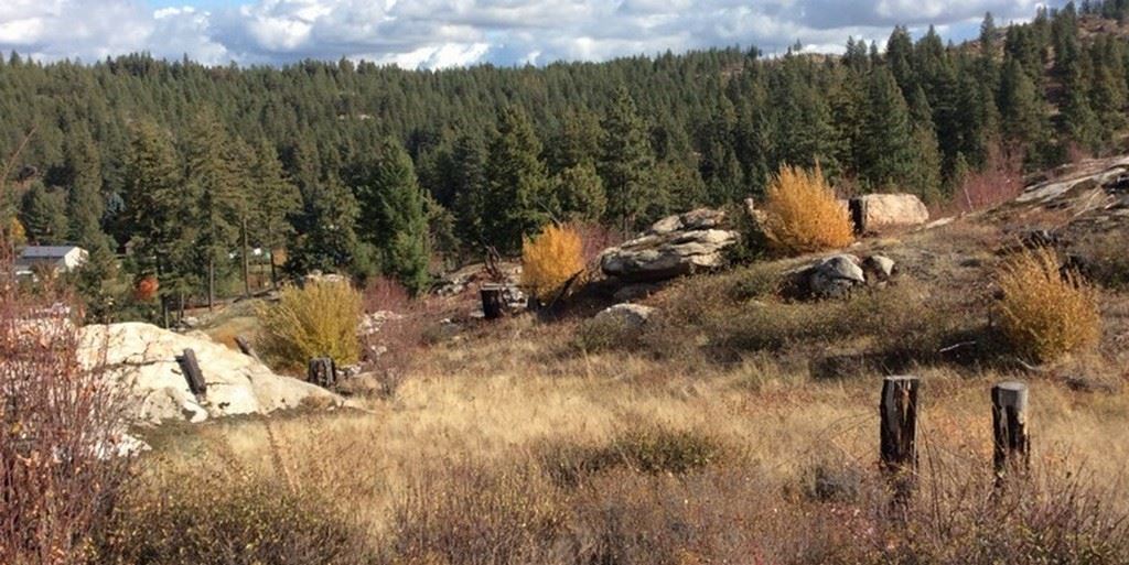 Xxx South Park Road Spokane, WA 99212 - Photo 5 of 10
