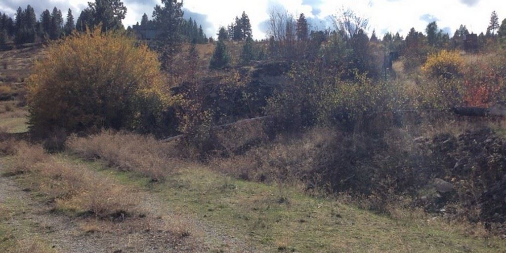 Xxx South Park Road Spokane, WA 99212 - Photo 7 of 10