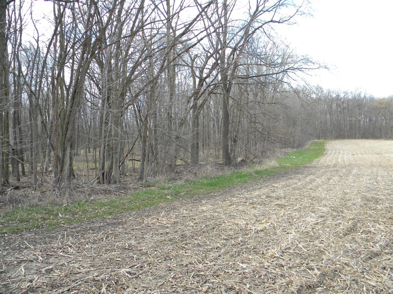 0 Saline Waterworks Road Manchester, MI 48158 - Photo 4 of 5
