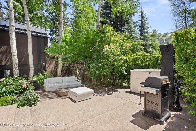 a view of a backyard with furniture and plants