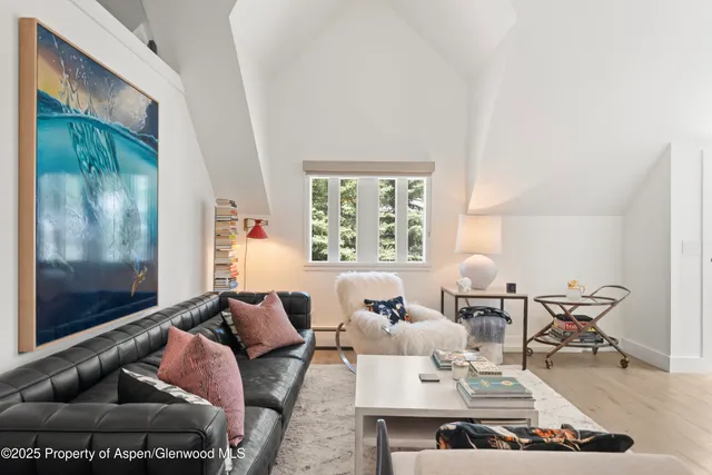 a living room with furniture a rug and a window