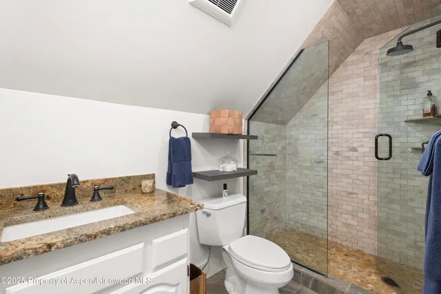 a bathroom with a granite countertop sink toilet and shower