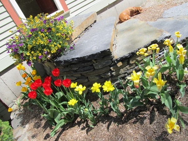80 Montague Road Shutesbury, MA 01072 - Photo 24 of 30 Gallery Image 24