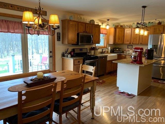 111 Panick Road Iron River, MI 49935 - Photo 6 of 49