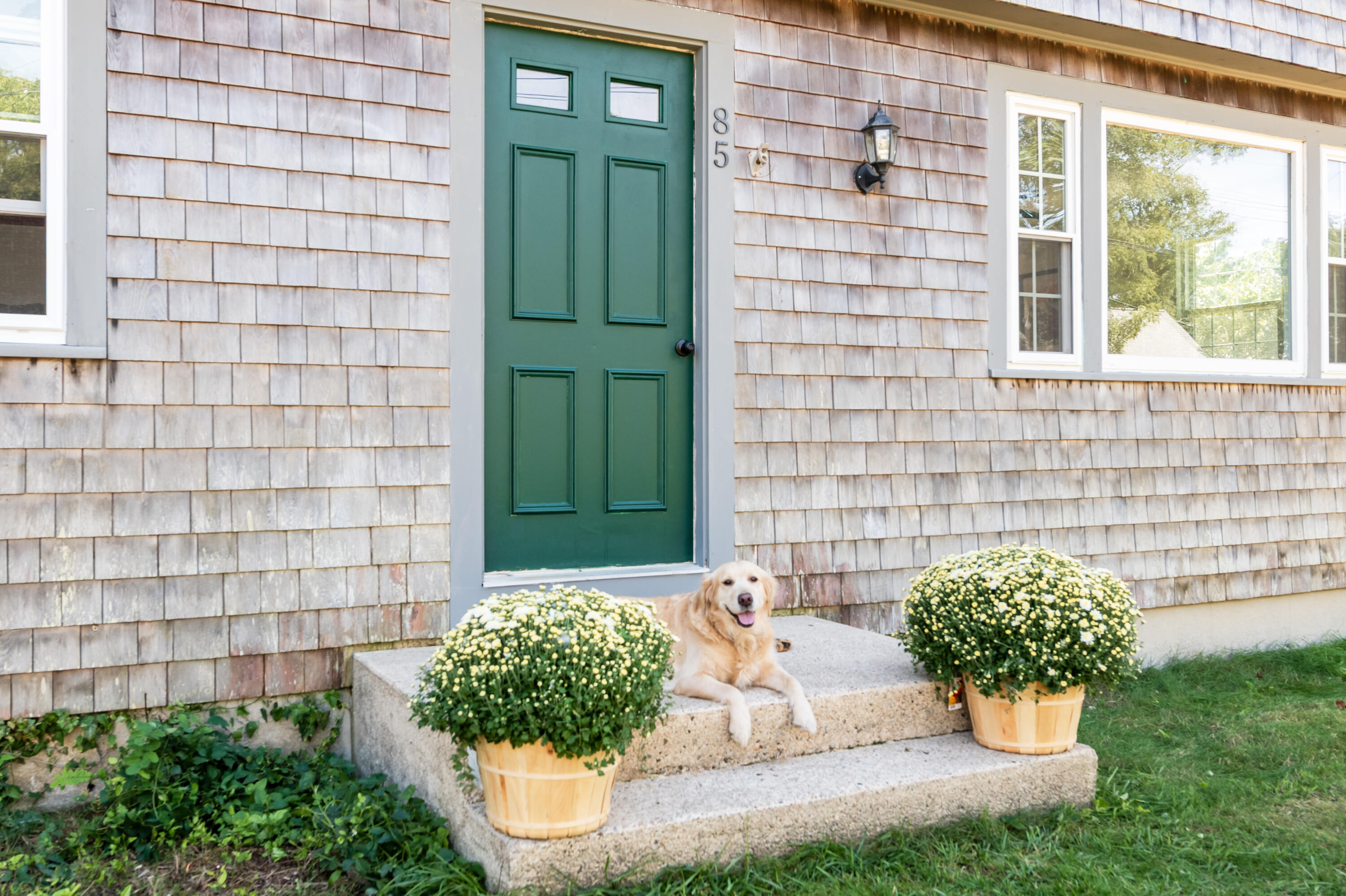 85 Huckleberry Lane Eastham, MA 02642 - Photo 4 of 42 _DRP3673