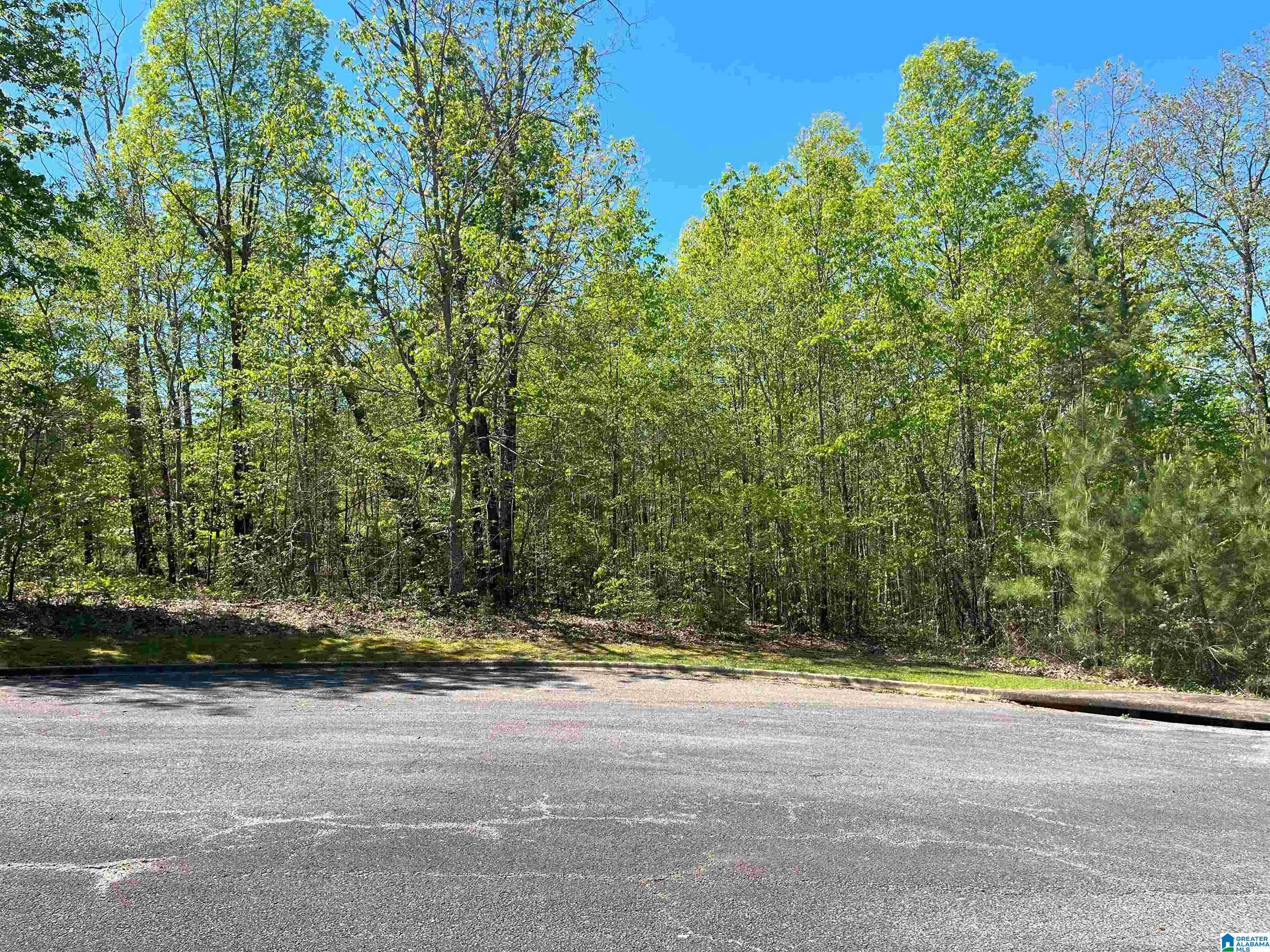 0 Katy Circle, Unit 24 Springville, AL 35146 - Photo 1 of 5