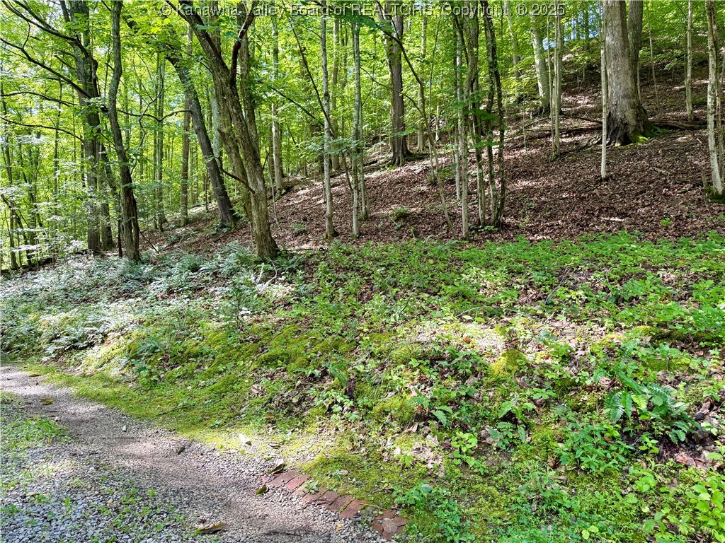 129 Atlas Road South Charleston, WV 25309 - Photo 8 of 40 Gallery Image 8