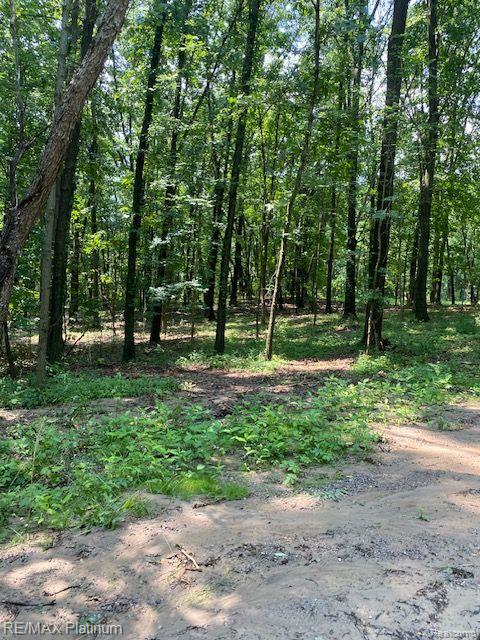 7 Sleaford-parcel 7 - 2 Acres Road Howell, MI 48843 - Photo 36 of 45