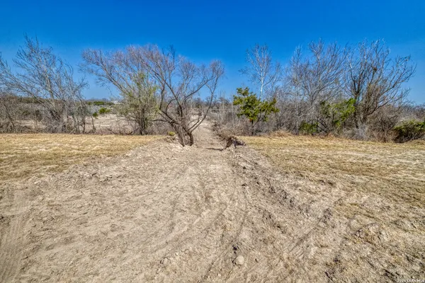 a view of dirt yard with a tree