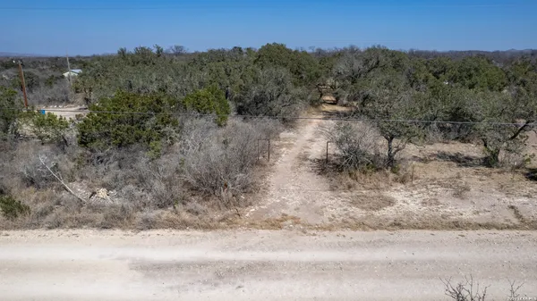 a view of a dry yard with trees in the background
