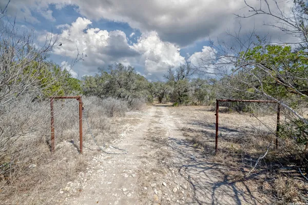 a view of a backyard of the house