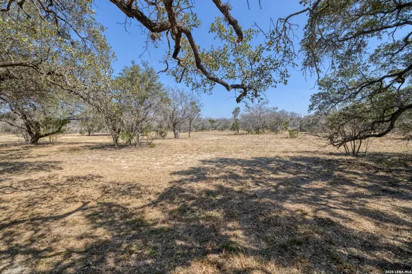 a view of dirt yard with a tree