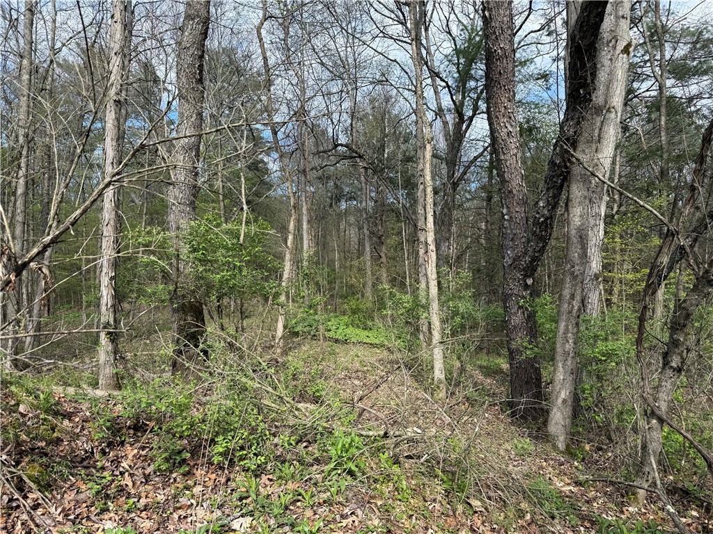 9155 Smith Road Lindley, NY 14870 - Photo 9 of 33