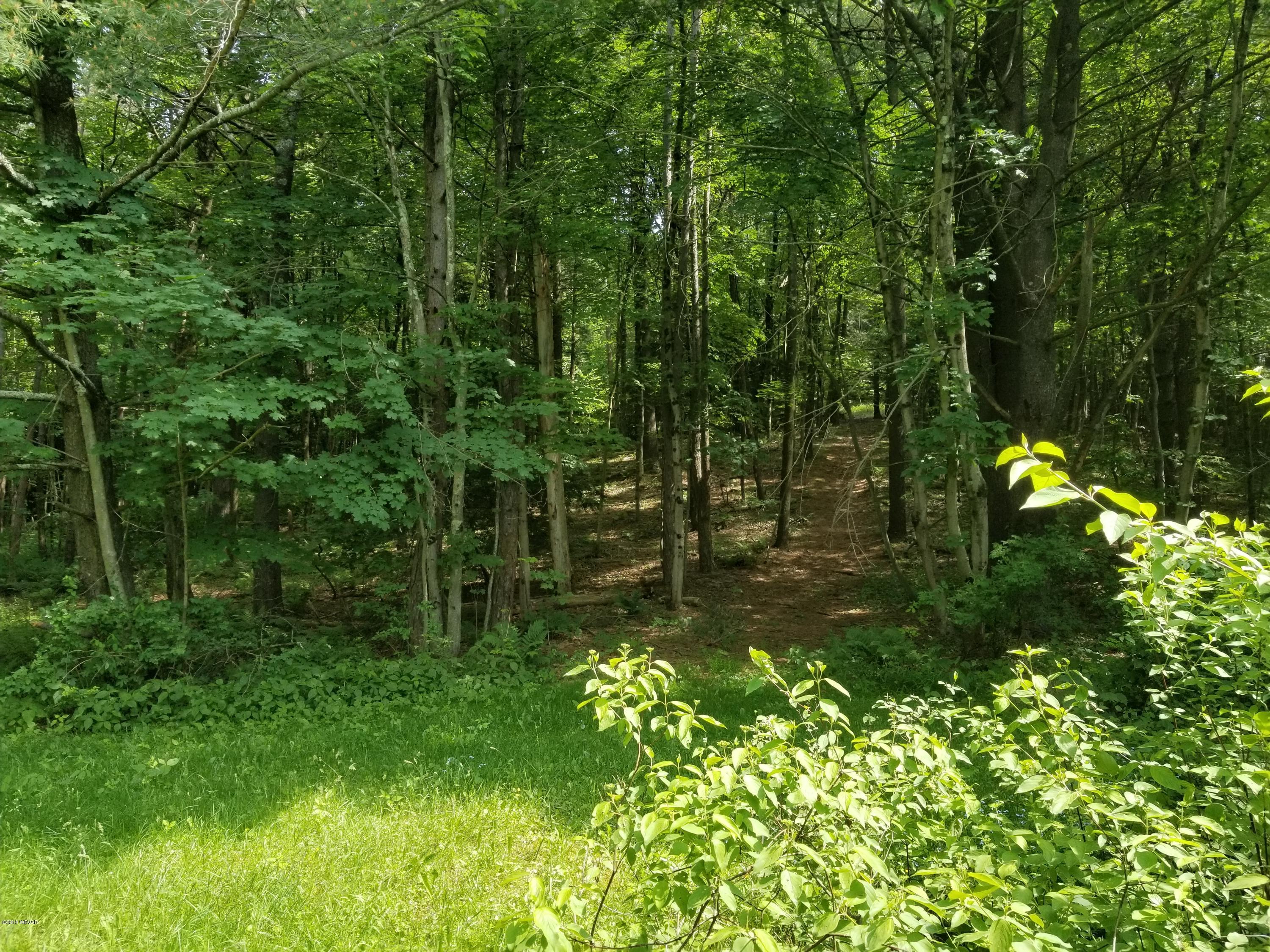 0 Sholder Road Williamsport, PA 17701 - Photo 1 of 7 Land