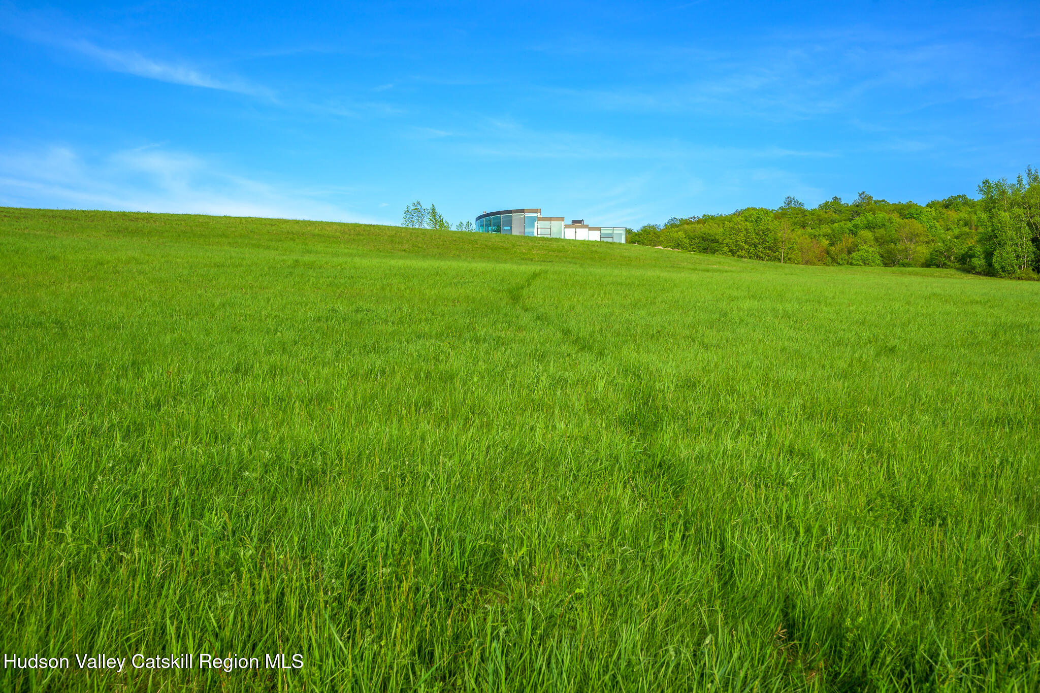 837 Carlson Road Craryville, NY 12521 - Photo 42 of 65 a view of a big yard with a large tree
