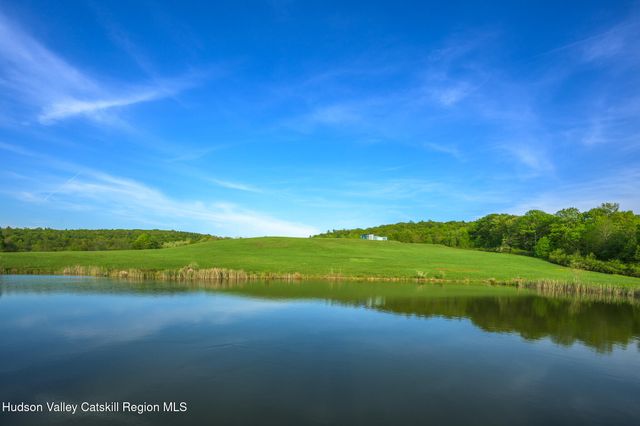 a view of a grassy field with trees