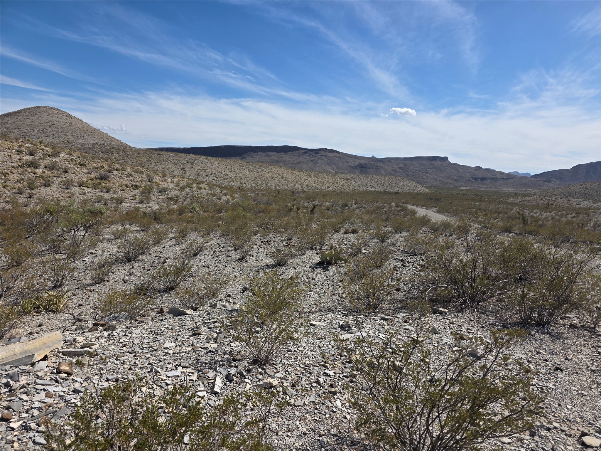 1 Bob Cat Alpine, TX 79830 - Photo 1 of 29