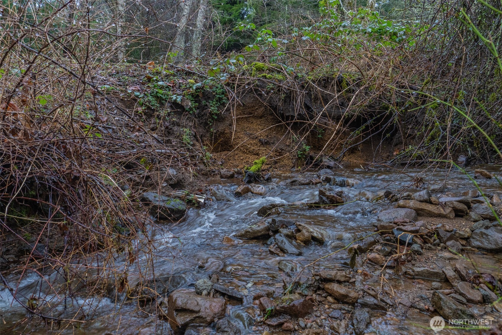 244 Martin Road Glenoma, WA 98336 - Photo 38 of 39