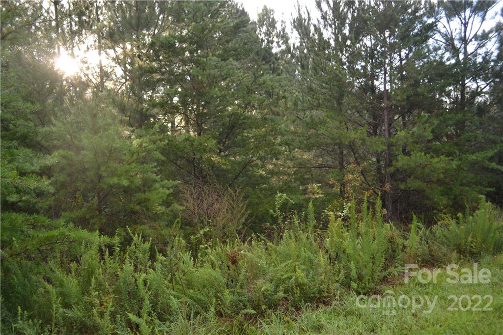 0 Spur Alley Rutherfordton, NC 28139 - Photo 2 of 13