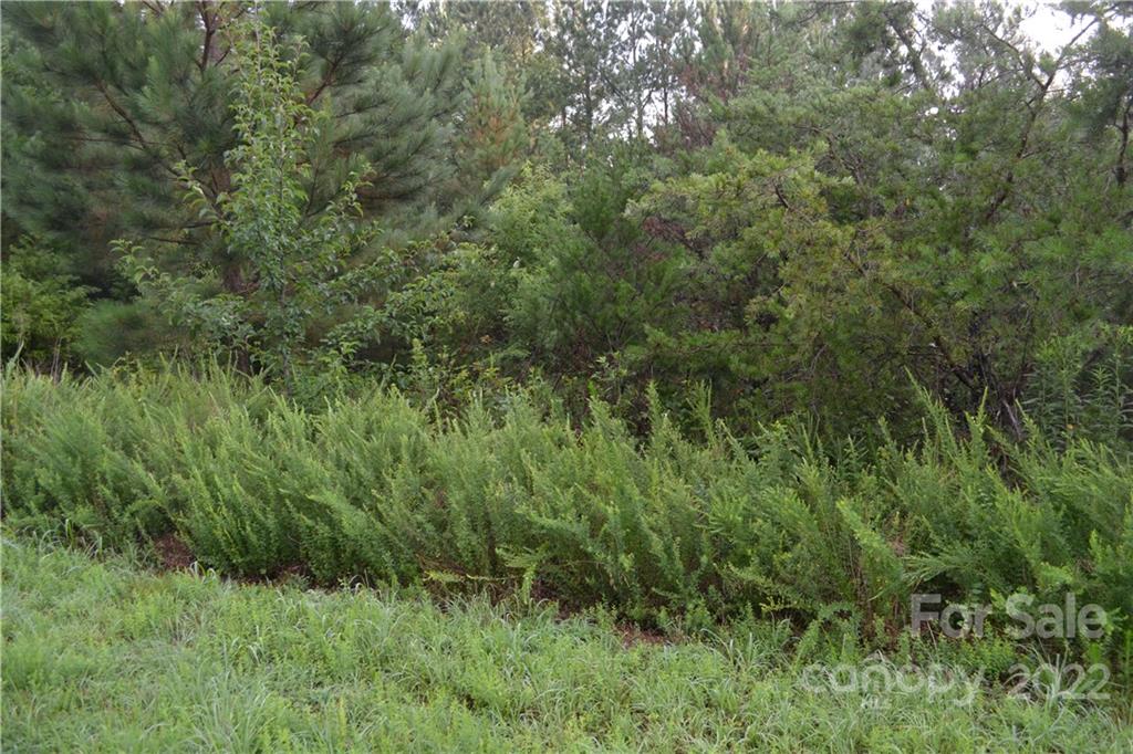 0 Spur Alley Rutherfordton, NC 28139 - Photo 3 of 13