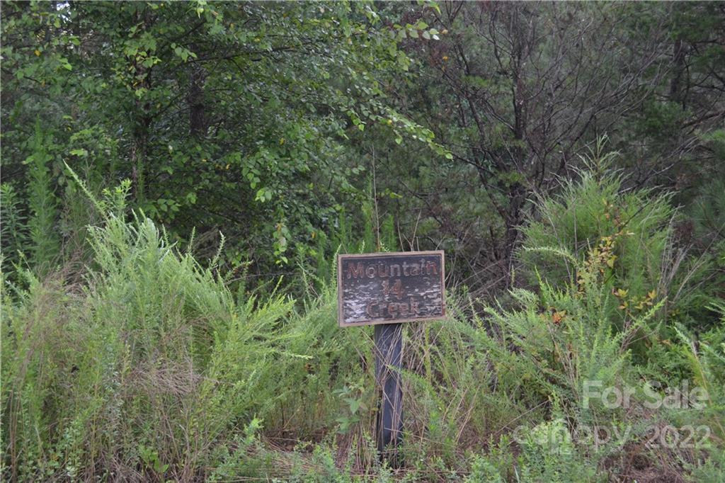 0 Spur Alley Rutherfordton, NC 28139 - Photo 4 of 13