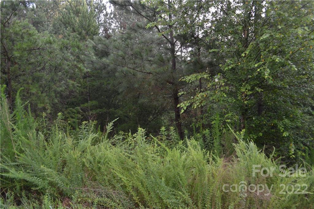 0 Spur Alley Rutherfordton, NC 28139 - Photo 5 of 13