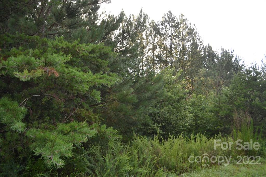 0 Spur Alley Rutherfordton, NC 28139 - Photo 6 of 13