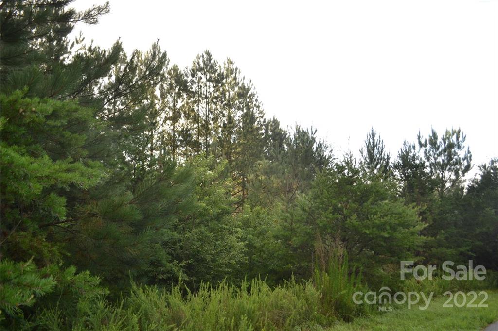 0 Spur Alley Rutherfordton, NC 28139 - Photo 7 of 13