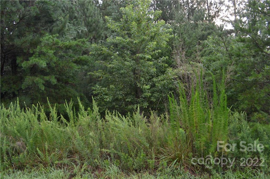 0 Spur Alley Rutherfordton, NC 28139 - Photo 8 of 13