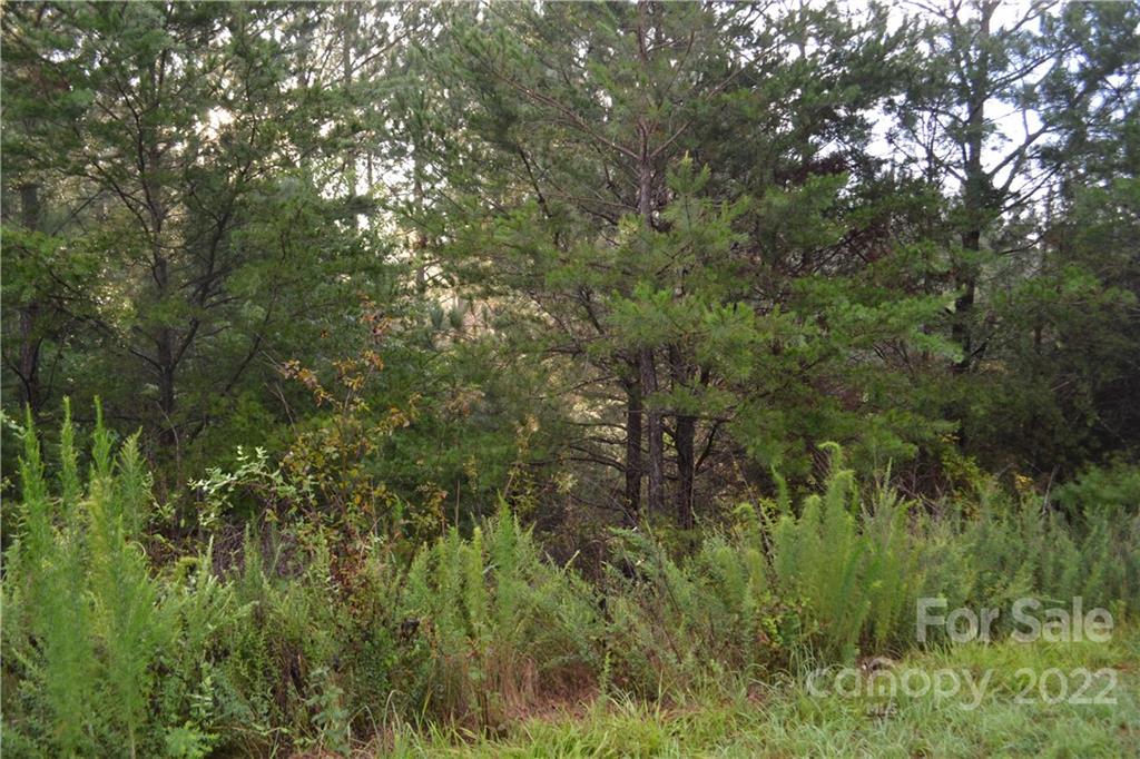0 Spur Alley Rutherfordton, NC 28139 - Photo 9 of 13