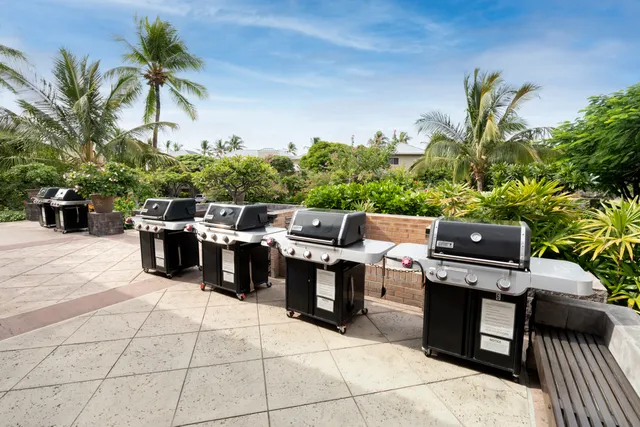 a view of a patio with table and chairs potted plants and a large tree
