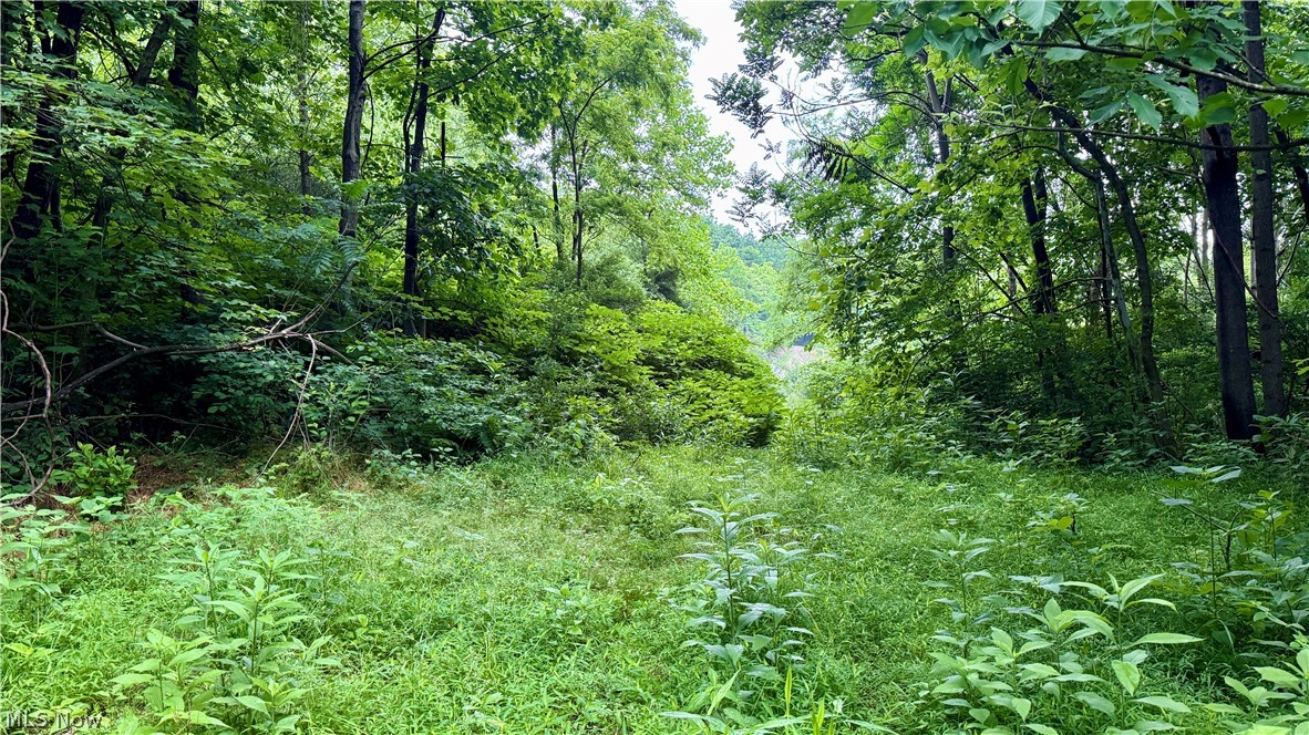 Marlott Run Road Kimbolton, OH 43749 - Photo 6 of 49