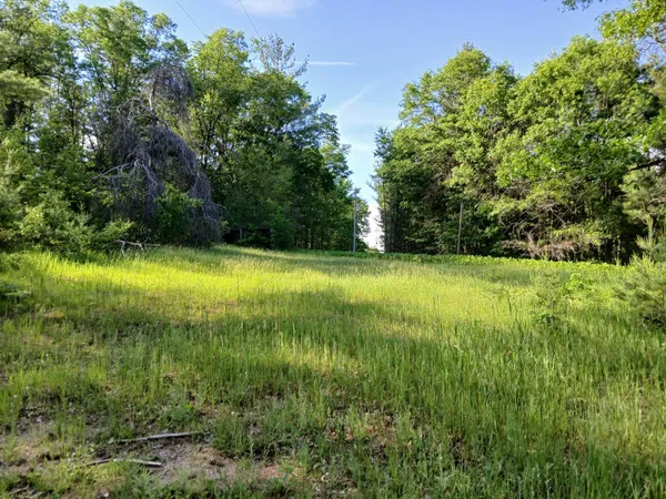 $39,000 | 2486 Retelle Lane, Unit 876 N FAIRVIEW RD, West Branch, MI 48661