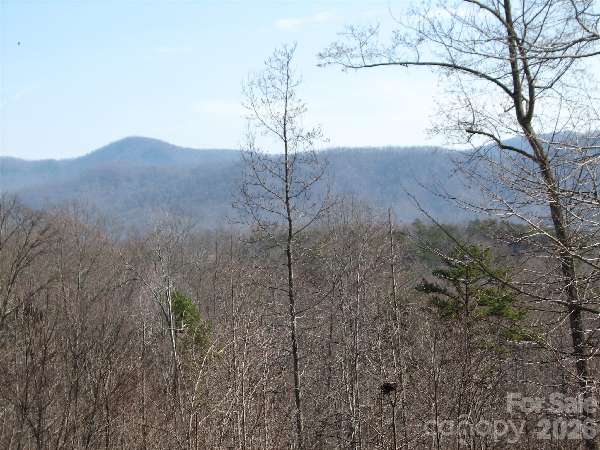 0 Meditation Rdg Dr Extension, Unit 21 22 Nebo, NC 28761 - Photo 1 of 8 a view of a dry yard with a large tree
